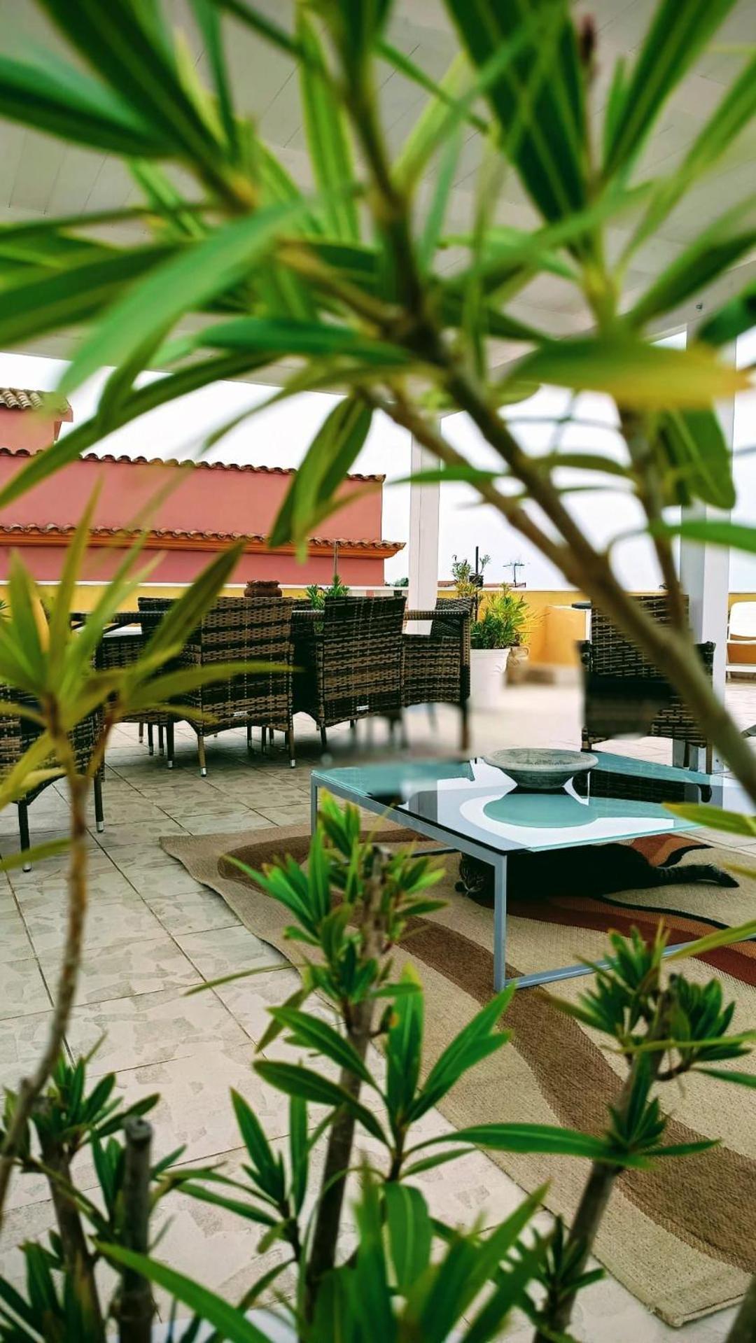 Domos Le Due Tuie Bed & Breakfast Piscinas Dış mekan fotoğraf